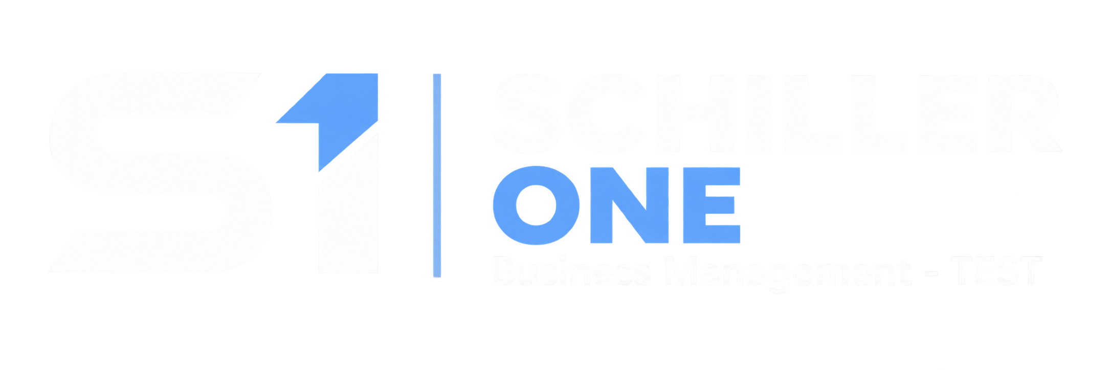 SCHILLER ONE – Business Management - TEST